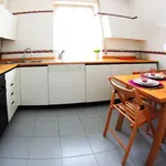 Rent 5 bedroom apartment in Milan