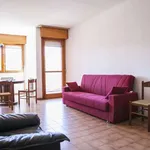 Rent a room of 120 m² in rome