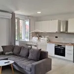 Rent 2 bedroom apartment of 48 m² in Grad Rijeka