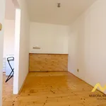 Rent 1 bedroom apartment of 38 m² in Hradec Králové