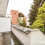 Rent 1 bedroom apartment of 20 m² in Brno