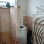 Rent 2 bedroom apartment of 47 m² in Přerov nad Labem