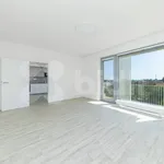 Rent 1 bedroom apartment in Brno