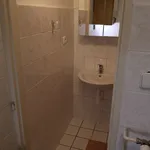 Rent 1 bedroom apartment in Brno