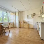 Pronajměte si 1 ložnic/e byt o rozloze 37 m² v Karlovy Vary