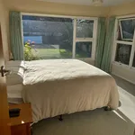 Rent 3 bedroom house in Christchurch