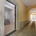 Rent 1 bedroom apartment of 50 m² in milan