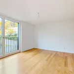 Rent 3 bedroom apartment of 73 m² in Schönenberg