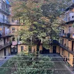 Rent 2 bedroom apartment of 55 m² in Torino