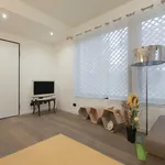 Rent 1 bedroom apartment in Milan