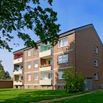 Rent 3 bedroom apartment of 65 m² in Ibbenbüren