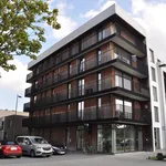 Rent 1 bedroom apartment in Hasselt