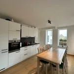 Rent 1 bedroom apartment in Hertsberge