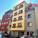 Rent 2 bedroom apartment of 57 m² in České Budějovice