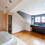 Pronajměte si 4 ložnic/e byt o rozloze 214 m² v Prague