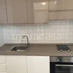 Rent 3 bedroom apartment of 65 m² in Pisa