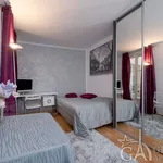 Rent 1 bedroom apartment of 25 m² in Paris