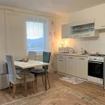 Rent 1 bedroom apartment of 36 m² in Brno