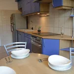 Rent 4 bedroom apartment in Krakow