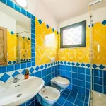 Rent 2 bedroom apartment of 50 m² in Castelsardo