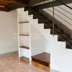 Rent 3 bedroom apartment of 90 m² in Roma