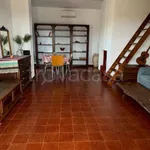 Rent 3 bedroom house of 150 m² in Monopoli