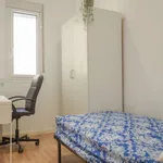 Rent a room in madrid