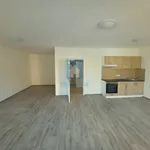 Rent 2 bedroom apartment in Plzeň