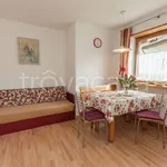 Rent 1 bedroom apartment of 40 m² in Ortisei