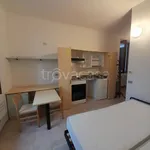 Rent 1 bedroom apartment of 40 m² in Varese