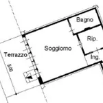 Rent 2 bedroom apartment of 45 m² in Pinzolo