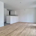 Rent 3 bedroom house of 101 m² in Hanau