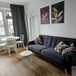 Rent 2 bedroom apartment of 33 m² in Katowice