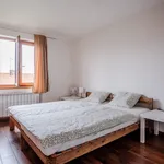 Rent a room of 130 m² in Prague