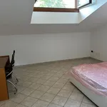 Rent 4 bedroom house of 150 m² in Vicenza