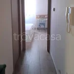 Rent 2 bedroom apartment of 60 m² in Trani