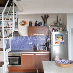 Rent 3 bedroom apartment of 67 m² in Pisa