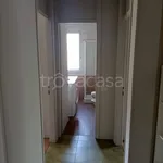 Rent 4 bedroom apartment of 110 m² in Parma