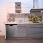 Rent 3 bedroom apartment of 145 m² in Nuremberg