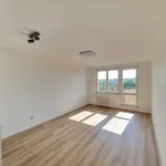 Rent 1 bedroom apartment of 29 m² in Ostrava