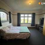 Rent 3 bedroom apartment in Christchurch