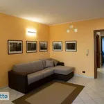 Affitto 2 camera appartamento di 55 m² in Turin