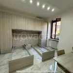 Rent 2 bedroom apartment of 40 m² in Pavia