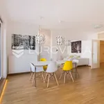 Rent 4 bedroom apartment of 170 m² in Zagreb