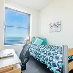 Rent 1 bedroom apartment in Chicago