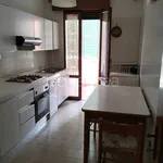 Rent 4 bedroom apartment of 120 m² in Padova