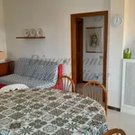 Rent 3 bedroom apartment of 70 m² in Rosignano Marittimo