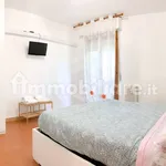 Rent 2 bedroom apartment of 45 m² in Pisa