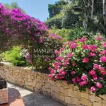 Rent 5 bedroom house of 300 m² in Olbia