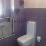 Rent 1 bedroom house of 240 m² in Mascalucia